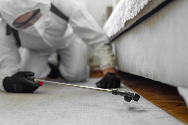 Professional Rodent Control technician working in Redlands, CO