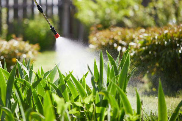 24/7 Emergency Rodent Control experts in Redlands, CO