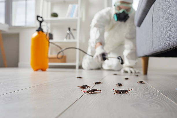 Trusted Fumigation Services service in Redlands, CO - Nex Pest Control