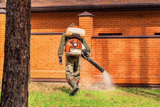 Trusted Mosquito Control service in Redlands, CO - Nex Pest Control